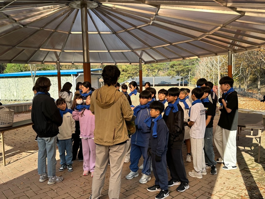 첨부 이미지